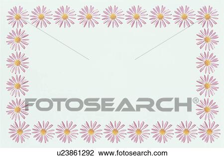 Stock Image - The Square Frame Of A Pink Chrysanthemum. Fotosearch