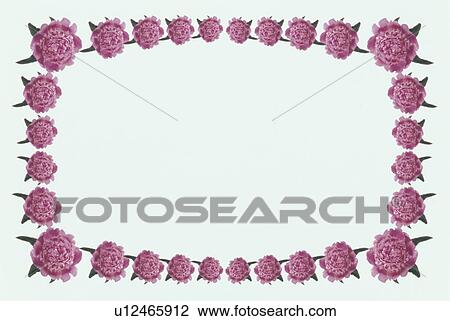 Stock Image - The Square Frame Of A Pink Flower. Fotosearch
