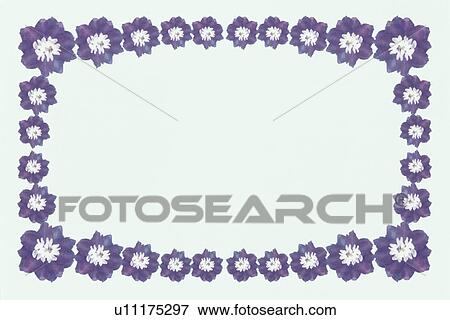 Stock Photo - The Square Frame Of A Purple Flower. Fotosearch
