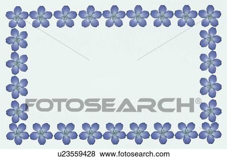 The Square Frame Of A Purple Flower View Large Photo Image Stock Photo - The Square Frame Of A Purple Flower. Fotosearch