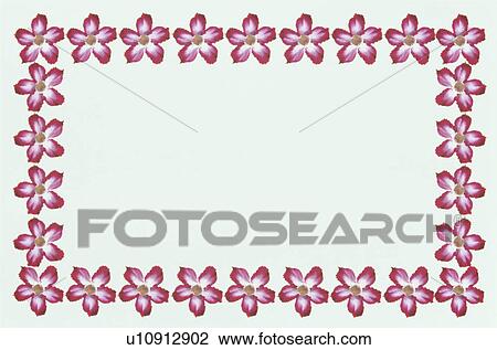 Stock Image - The Square Frame Of A Red Flower. Fotosearch