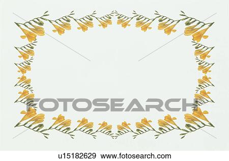 The Square Frame Of A Yellow Freesia View Large Photo Image Stock Photo - The Square Frame Of A Yellow Freesia. Fotosearch