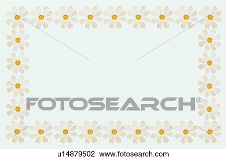 Stock Image - The Square Frame Of Cosmos. Fotosearch