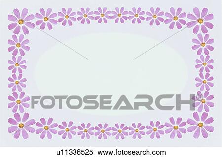 Stock Photography - The Square Frame Of Cosmos. Fotosearch