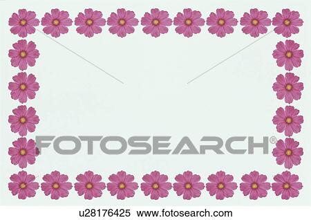 Stock Photography - The Square Frame Of Cosmos. Fotosearch