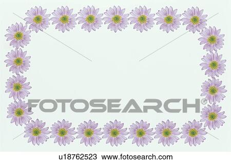 The Square Frame Of Flower View Large Photo Image Stock Image - The Square Frame Of Flower. Fotosearch