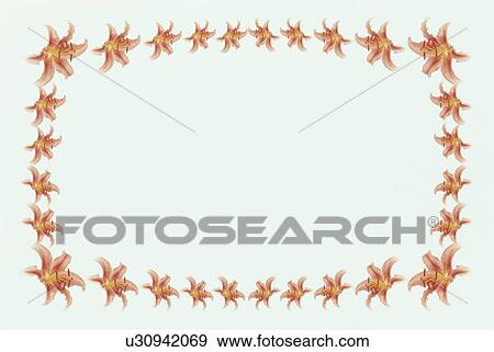 Stock Photo - The Square Frame Of Lily. Fotosearch