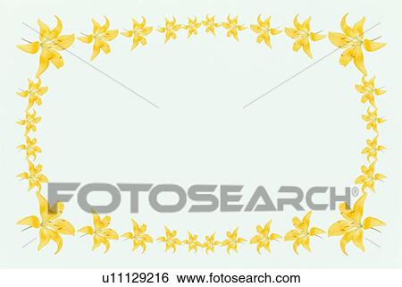 The Square Frame Of Lily View Large Photo Image Stock Photograph - The Square Frame Of Lily. Fotosearch
