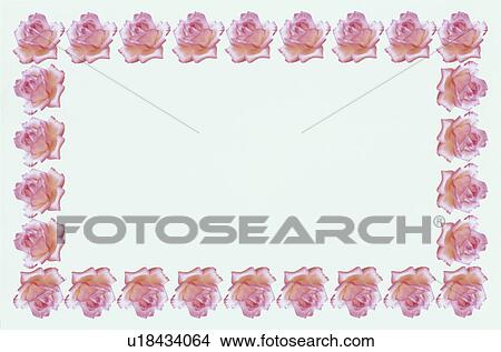 Picture - The Square Frame Of Roses. Fotosearch
