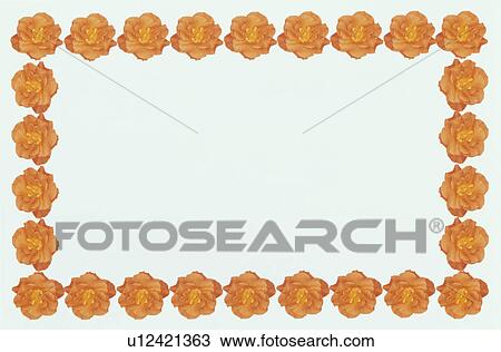 Stock Image - The Square Frame Of Roses. Fotosearch