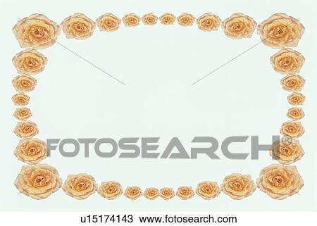 Stock Image - The Square Frame Of Roses. Fotosearch