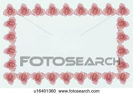 Stock Image - The Square Frame Of Roses. Fotosearch