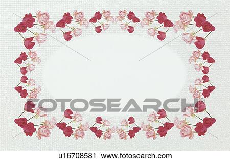 Stock Image - The Square Frame Of Roses. Fotosearch