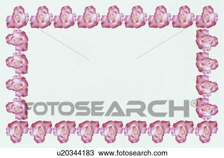 Stock Image - The Square Frame Of Roses. Fotosearch