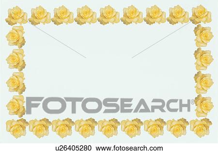 The Square Frame Of Roses View Large Photo Image Stock Image - The Square Frame Of Roses. Fotosearch