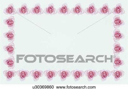 Stock Image - The Square Frame Of Roses. Fotosearch