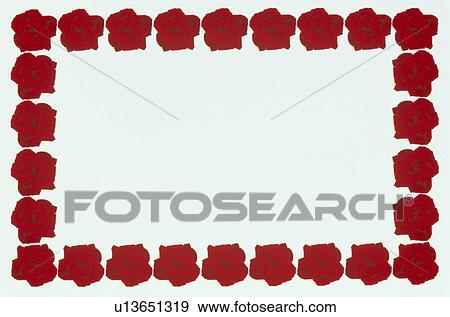 Stock Photo - The Square Frame Of Roses. Fotosearch