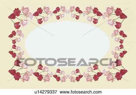The Square Frame Of Roses View Large Photo Image Stock Photo - The Square Frame Of Roses. Fotosearch