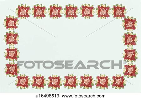 The Square Frame Of Roses View Large Photo Image Stock Photo - The Square Frame Of Roses. Fotosearch