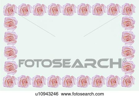 Stock Photograph - The Square Frame Of Roses. Fotosearch