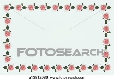 The Square Frame Of Roses View Large Photo Image Stock Photograph - The Square Frame Of Roses. Fotosearch