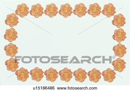 Stock Photograph - The Square Frame Of Roses. Fotosearch