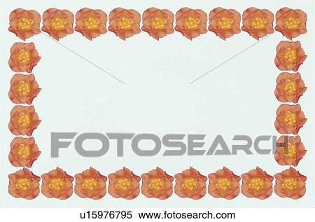 Stock Photography - The Square Frame Of Roses. Fotosearch