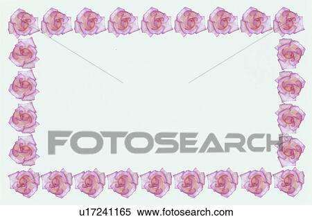 Stock Photography - The Square Frame Of Roses. Fotosearch