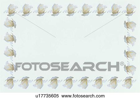 Stock Photography - The Square Frame Of Roses. Fotosearch
