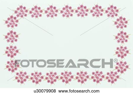 Stock Photo - The Square Frame Of The Gerbera. Fotosearch