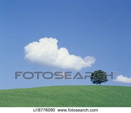 Tree And Cloud View Large Photo Image Stock Image - Tree And Cloud. Fotosearch