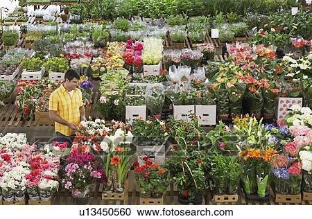 Male customer in flower shop View Large Photo Image Stock Image - Male customer in flower shop. Fotosearch