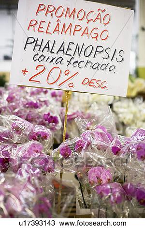 Stock Image - Sale sign by Phalaenopsis flowers. Fotosearch
