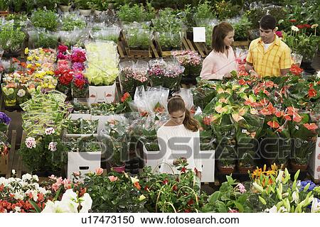 Stock Image - Three customers in flower shop. Fotosearch