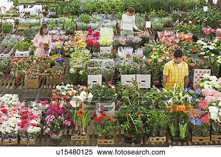 Stock Photography - Three customers in flower shop. Fotosearch