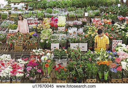 Stock Photography - Two customers in flower shop. Fotosearch