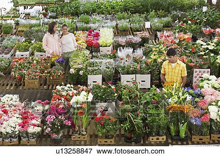 Two female customers gossiping about male customer in flower shop View Large Photo Image Stock Photo - Two female customers gossiping about male customer in flower shop. Fotosearch