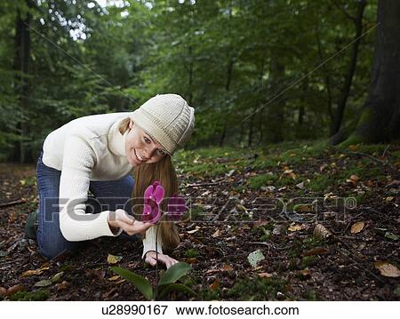 Woman Looking at Orchid in Forest View Large Photo Image Stock Photo - Woman Looking at Orchid in Forest. Fotosearch