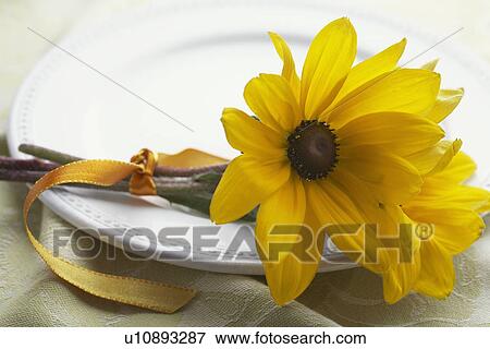 Yellow flower on plate View Large Photo Image Stock Photo - Yellow flower on plate. Fotosearch