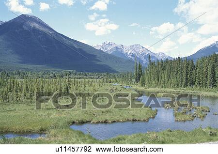 Canadian Rockies View Large Photo Image Stock Image - Canadian Rockies. Fotosearch
