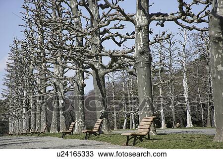 Stock Image - The Street In Winter. Fotosearch