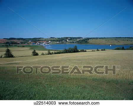 Stock Image - View Of Lake From Field. Fotosearch