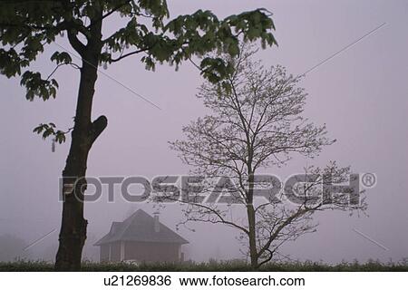 Foggy Landscape View Large Photo Image Stock Photograph - Foggy Landscape. Fotosearch