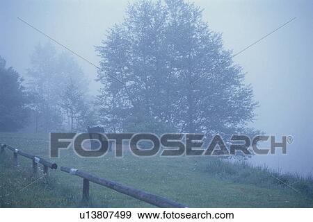 Misty Scenery View Large Photo Image Stock Photo - Misty Scenery. Fotosearch