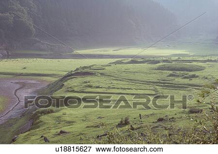 Misty Valley View Large Photo Image Stock Photo - Misty Valley. Fotosearch