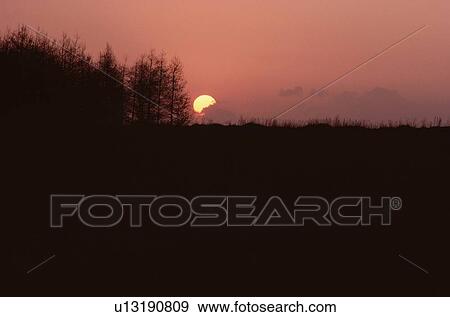 Stock Photo - Silhouetted Forest In Sunset. Fotosearch