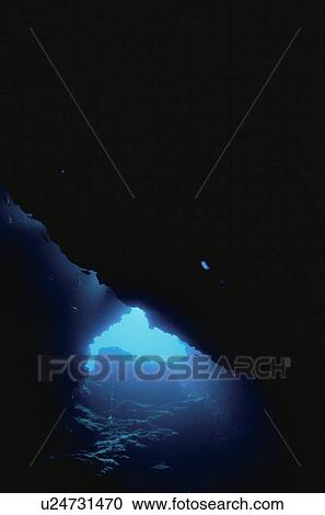 The Underwater Cave With The Dolphin Shape View Large Photo Image Stock Image - The Underwater Cave With The Dolphin Shape. Fotosearch