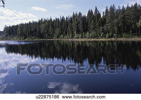 A Forest And A Lake View Large Photo Image Stock Photograph - A Forest And A Lake. Fotosearch