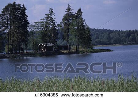 Stock Photography - A Forest And A Lake. Fotosearch