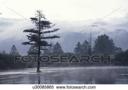 A Misty Puddle View Large Photo Image Stock Photography - A Misty Puddle. Fotosearch